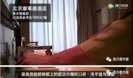 迪云酒店爆料视频大全集,揭秘酒店内幕与真实故事