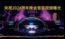 文轩爆料官宣视频