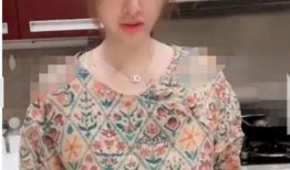 胖迪前妻爆料视频,揭秘娱乐圈背后的惊人真相